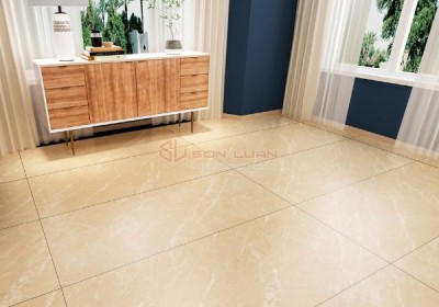 Gạch Ốp Lát APODIO 61223011